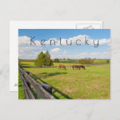 ケンタッキー葉書、馬の農場 ポストカード (正面/裏面)