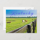 ケンタッキー葉書。馬の農場。 ポストカード (正面/裏面)