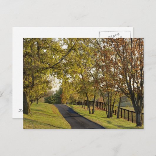 ケンタッキー2のブルーグラス地域を通る田舎道路 ポストカード (正面/裏面)