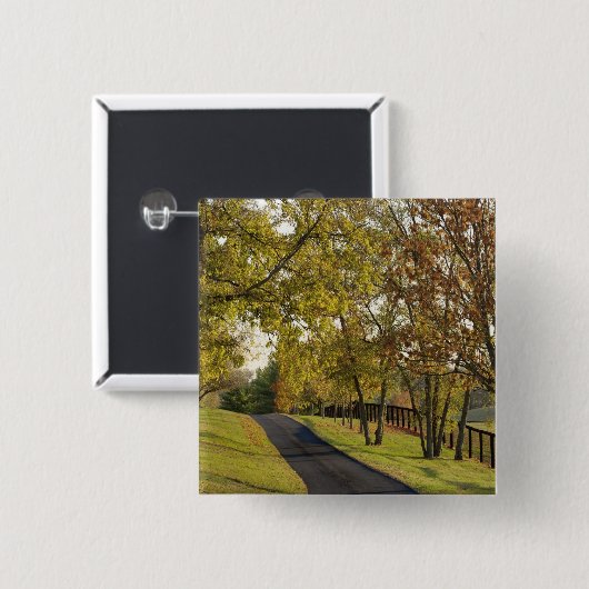 ケンタッキー2のブルーグラス地域を通る田舎道路 缶バッジ (正面&裏面)