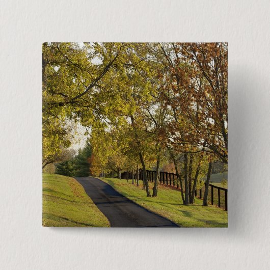 ケンタッキー2のブルーグラス地域を通る田舎道路 缶バッジ (正面)