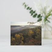 ケンタッキー·アメリカ。ダニエル·ブーン国有林。 ポストカード (スタンド正面)