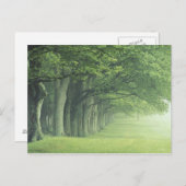 ケンタッキー·アメリカ。春 ポストカード (正面/裏面)