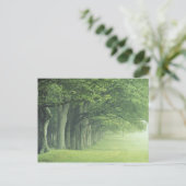 ケンタッキー·アメリカ。春 ポストカード (スタンド正面)