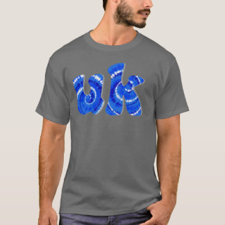 ケンタッキー タイダイ Tシャツ