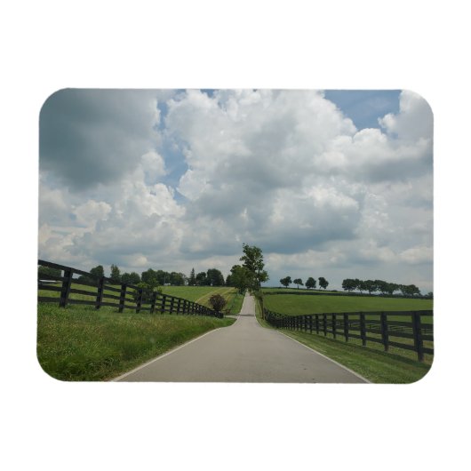 ケンタッキー・ブルーグラス磁石 マグネット (横)