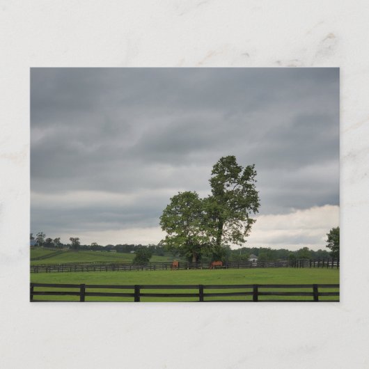 ケンタッキー・レキシントン ポストカード (正面)