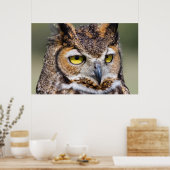 ケンダル郡、テキサス州。角素晴らしフクロウ ポスター (キッチン)