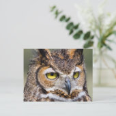 ケンダル郡、テキサス州。角素晴らしフクロウ ポストカード (スタンド正面)