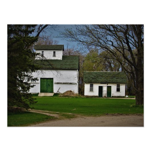 ケント・グリーン フォトプリント            (正面)