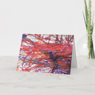 ケンドール カード