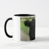 ケンブリッジのベルトを付けられた牛 マグカップ (左)