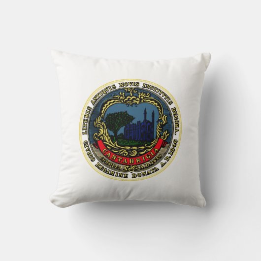 ケンブリッジ国旗（マサチューセッツ州） クッション (正面)