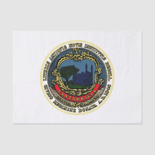 ケンブリッジ国旗（マサチューセッツ州） 薄葉紙 (正面)