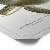 ケンプのリドレシーウミガメ大人と少年のプリント ポスター (角)