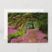 ケンマレ ポストカード (正面/裏面)