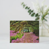 ケンマーレフェアリーロード ポストカード (スタンド正面)