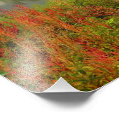 ケンモアの霧の朝 フォトプリント            (角)