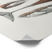 ケーイングパイロット鯨体解剖学プリント海洋生物学 ポスター (角)