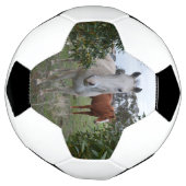 ケーカボウマ、サッカーボール サッカーボール (回転)