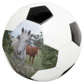 ケーカボウマ、サッカーボール サッカーボール (3/4)