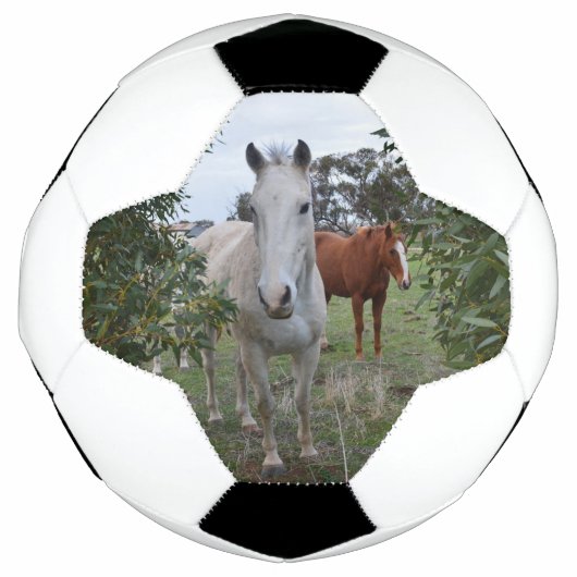 ケーカボウマ、サッカーボール サッカーボール (正面)