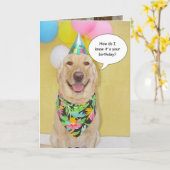 ケーキのくんくんかぐ犬 カード (黄色い花)