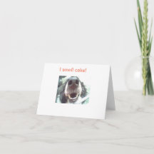 「ケーキのにおいがする！」 犬の鼻誕生日カード