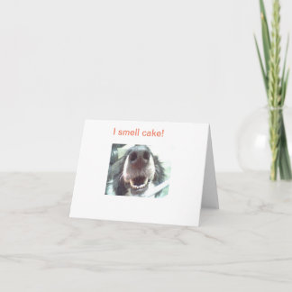 「ケーキのにおいがする！」 犬の鼻誕生日カード カード