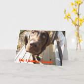 ケーキの匂いがする?おもしろい誕生日カード愛犬家 カード (黄色い花)