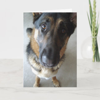 ケーキの匂いがする？誕生日の希望… カード