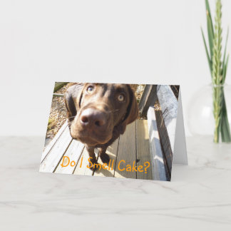 ケーキの匂いがする？Chocolate Lab Greeting Card カード