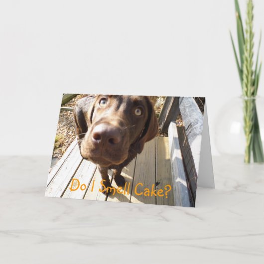 ケーキの匂いがする?Chocolate Lab Greeting Card カード (正面)