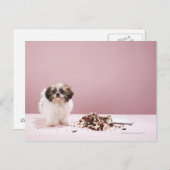ケーキを床に置いた子犬 ポストカード (正面/裏面)