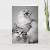 ケーキを待ち続ける（同僚の誕生日） カード (正面)