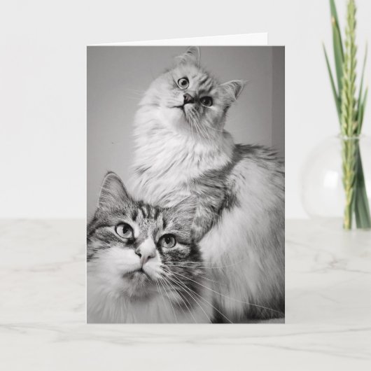 ケーキを待ち続ける（同僚の誕生日） カード (正面)