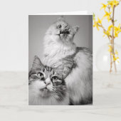 ケーキを待ち続ける（同僚の誕生日） カード (黄色い花)