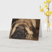 ケーキを待つ眠れる巨人マスチフ カード (黄色い花)