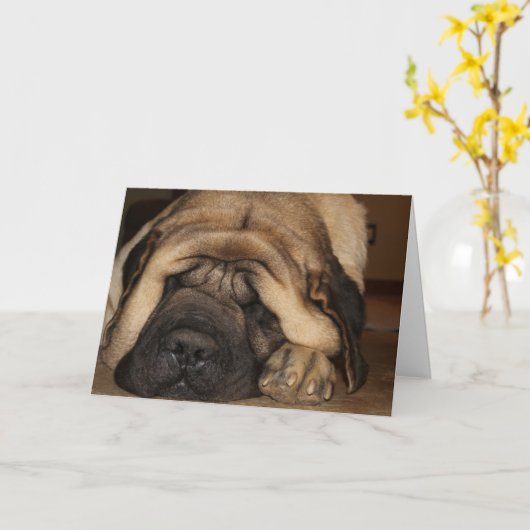 ケーキを待つ眠れる巨人マスチフ カード (黄色い花)