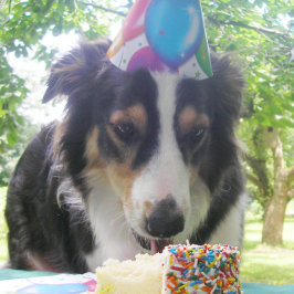 「ケーキを持って食べ物も食べたい!」 サンキューカード
