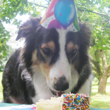 「ケーキを持っ食べてもだ！」