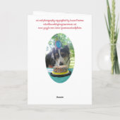 「ケーキを持っ食べてもだ！」 枚 シーズンカード (裏面)