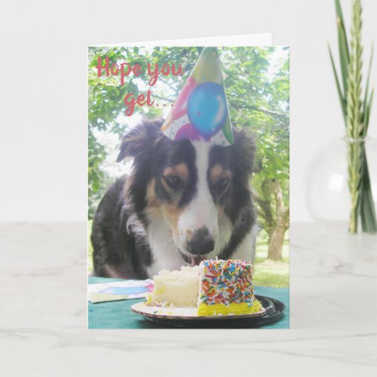 「ケーキを持っ食べてもだ！」 枚 シーズンカード (正面)