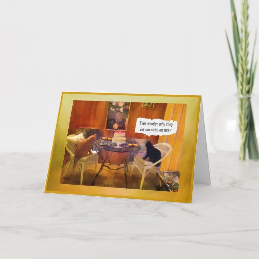 ケーキを焼き上げるユーモア満載の猫CARD シーズンカード (正面)