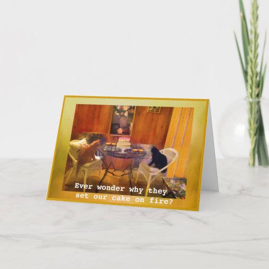 ケーキを「燃やす」!!- – 猫誕生日カード シーズンカード (正面)
