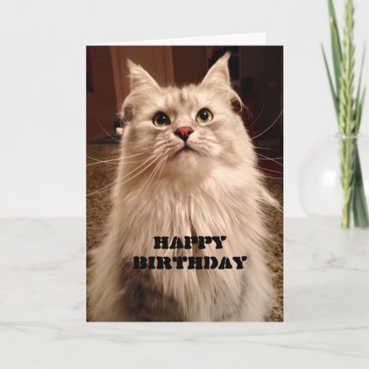 ケーキ誕生日カードを辛抱強く待つ カード (正面)