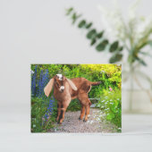 「ケーシー」はがき ポストカード (スタンド正面)