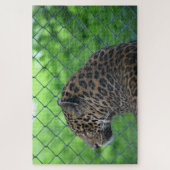 ケージにヒョウ ジグソーパズル (縦)