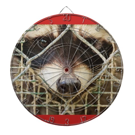 ケージのダーツボードの後ろのラッコンの悲しい表情 ダーツボード (正面)