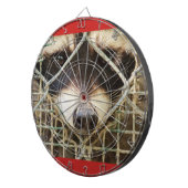 ケージのダーツボードの後ろのラッコンの悲しい表情 ダーツボード (正面右)